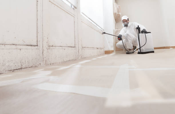 24/7 Emergency Mold Cleanup experts in Everett, WA